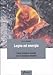 Legno ed energia. Come produrre energie con le biomasse legnose - A. Brunori
