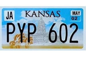 OPO 10 - Targa Auto USA - 30x15 cm Replica in Metallo: Kansas (C20)