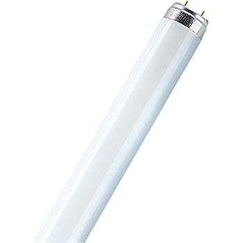 Osram FLUORA T8 - Lámpara Fluorescente, G13L 18 W/77