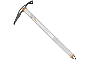 Kong Piccia DHINO Classic.