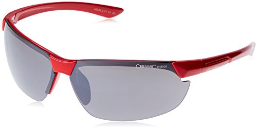 Alpina Sonnenbrille Amition Draff Outdoorsport-Brille