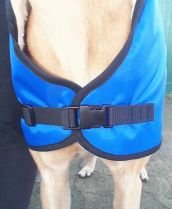 Greyhound-Lurcher-Coat-Fleece-Lined-Water-Resistant