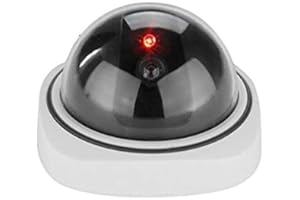 BW Caméra de surveillance factice pour intérieur/extérieur, fausse caméra de surveillance dôme avec caméra de sécurité émulationnelle