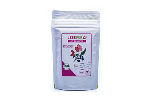 Preisvergleich Produktbild LebePur Bio Smoothie Pulver Antioxidantien 125g