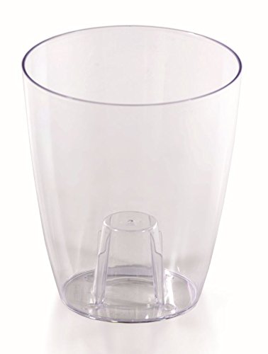 Maceta transparente calidad prémium ideal para orquídeas 2 tamaños 6 colores