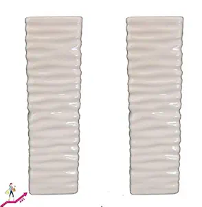 AARIHANTS The Value Store Ceramic Flower Vase, Set of 2 Pieces