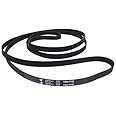 Hutchinson 1904.0 mm Poly V Belt, PHE Elasticity, for Tumble Dryer