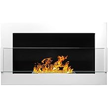 Suchergebnis auf Amazon.de für: ethanol kamin wand