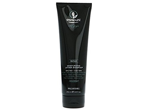 Paul Mitchell Awapuhi Wild Ginger Moisturizing Lather Shampoo, 1er Pack (1 x 250 ml) - 2