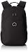 Produktbild Delsey Esplanade Rucksack 43 cm Laptopfach