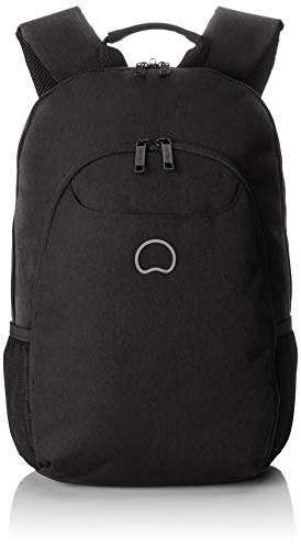 Preisvergleich Produktbild Delsey Esplanade Rucksack 43 cm Laptopfach