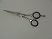 Beauty Moustache Scissors Grooming Beard Facial Hair Eyebrows BS* (4.5 inch)
