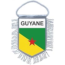 fanion mini drapeau pays voiture decoration souvenir blason france biscarosse