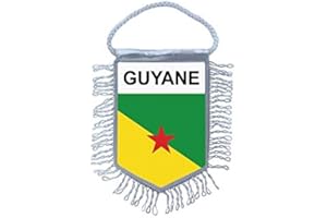 Akachafactory Fanion Mini Drapeau Pays Voiture Decoration guyane