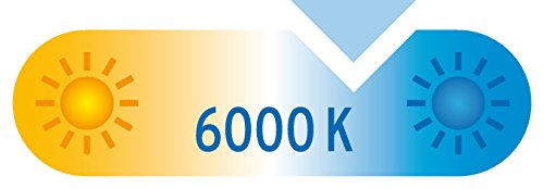 Brennenstuhl LED-Strahler Premium City / LED-Leuchte für außen und innen mit Bewegungsmelder (IP44, 40 W, 6000 K) Farbe: weiß - 5