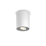 Mit dem bewegbaren Spotkopf können Sie das Licht dahin richten, wo Sie es benötigen. Um eine reibungslose Funktion zu generieren verwenden Sie den separat erhältlichen Hue Dimmer. Die Hue Leuchten sind nicht mit vorinstallierten Dimmern kompatibel