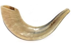 SHOFAROT ISRAEL Chophar en corne de bélier, 29-32 cm, Blanc poli