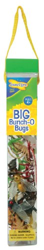 Insect Lore - 48131 - Insecte  - Big Bunch O' Bugs