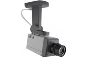 SECURITEGOODDEAL Lot de 2 caméras factices motorisée pour Surveillance