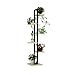 Produktbild HYCy 6-Tier-Eisen-Blumen-Standplatz/Blumen-Racks fuuml,r Wohnzimmer-Balkon und Innen/im Freien Metallregal-stehender Bonsais-Ausstellungsstand-Blumen-Topf-Eckregal - schwarzer Rahmen (Farbe : A)