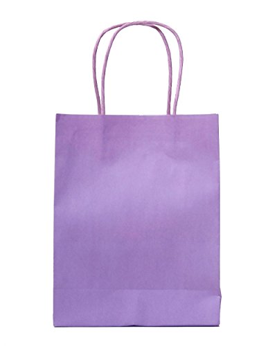 SOLEFAVORS Sole Favors Bolsas de Fiesta con asa Lila 10 Unidades