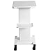 Produktbild Mode Beauty Salon Trolley, Beauty Trolley Cart + Fahrbarer Trolley mit Griff Pedestal Rollwagen Radständer für den Salon Friseure Barrow Shop Barber Shop Kosmetik Salon