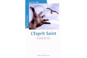 L'Esprit Saint : Le don de Dieu