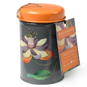 Preisvergleich Produktbild Burgon & Ball Gartenschnur in der Dose Passionsblumen