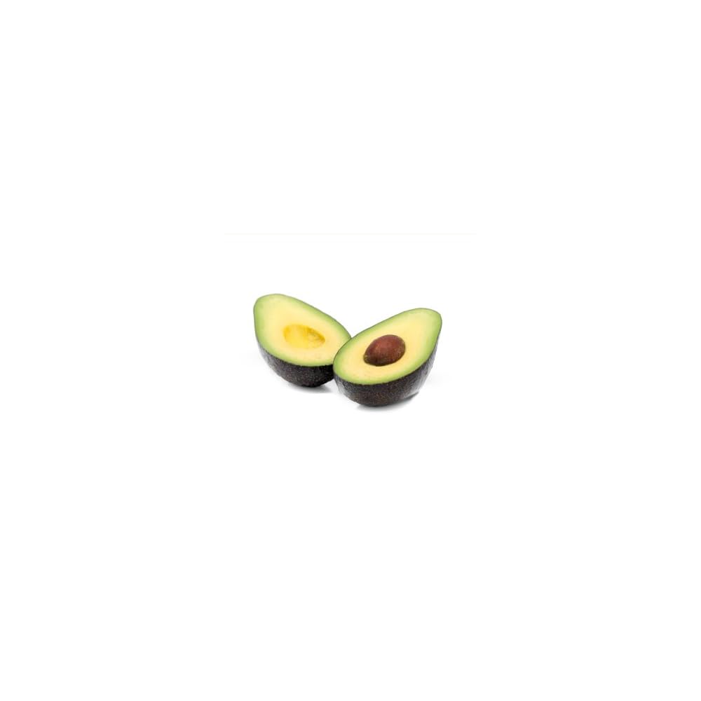 Abbey Essentials Avocado L