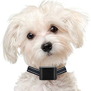 TAN-Advanced-Remote-Dog-Training-CollarRechargeable-and-Waterproof-Anti-Barking-Collar-with-BeepVibration-Blue-Backlight-Screen-No-Shock-Vibration-Bark-Control-Collar
