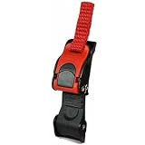 ملك من التحوط أو طوق أقرض sottogola per casco amazon -  siliconvalleybirding.org