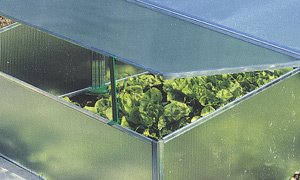 Polycarbonat Universal Stegplatten für Gewächshäuser klar 1500 x 700 x 4,5 mm - 2
