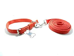 THE DDS STORE Puppy Nylon Leash with Collar Set - Small to Medium Dogs and Cats Leash and Collar Set Suitable for Puppies of All Dog Small Breeds Adjustable Soft Nylon Paw Plain Strip (Medium, RED)