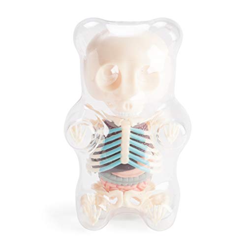 Preisvergleich Produktbild LatestBuy Gummy Bear 4D Anatomy Puzzle – Weiß