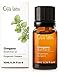 Produktbild Oregano ätherisches Öl - 100% rein therapeutische Qualität für Aromatherapie-Diffuser - 10 ml - Gya Labs