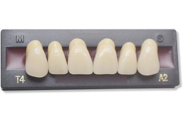 Dents Artificielles - INCISIVE DU HAUT (6 dents)