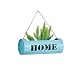 Produktbild Hängende Wand Pflanzer Metall Blumentopf Eisen Mount Sukkulenten Halter Mit Seil Für Indoor-Outdoor-Pflanzen Kaktus Moderne Home-Office-Dekor,Blue