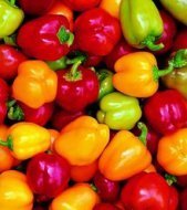 Preisvergleich Produktbild Mini Belle Pepper Mix - 50 Seeds - GARDEN FRESH PACK! by Livingston