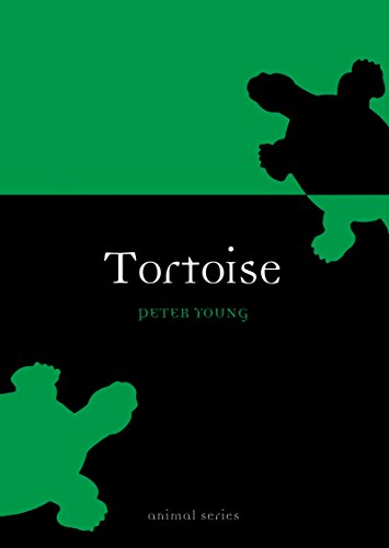 Livres Couvertures de Tortoise