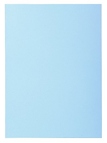 Exacompta 850000E - Lote de 250 Subcarpetas Super 60 Colores Surtidos reviews Exacompta 850000E - Lote de 250 Subcarpetas Super 60 Colores Surtidos