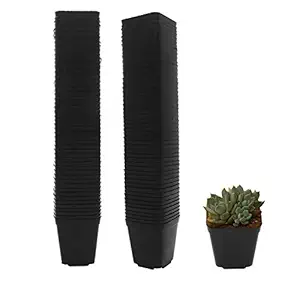 Pastic Nursery Pots Square Plant Pot 100 Pcs Durable Balck Starter Container for Starting Seedlings or Succulents (2.2 Inch)