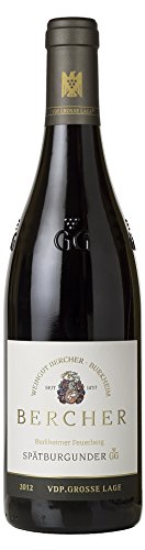 Preisvergleich Produktbild Bercher Burkheimer Feuerberg Spätburgunder Großes Gewächs 2012