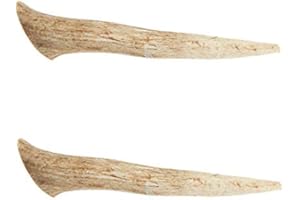 Ace Antlers Deer Antlers for Dogs (2 x Medium Pieces) - Natural Dog Antler Chews for Chewing Satisfaction - 8 Sizes inc Small, Medium and Large Antlers for Puppies and Adult Dogs