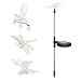 Produktbild 3 PCS LED Beleuchtung Solar Solarleuchten mit Erdspieß Schmetterling Libelle oiseau-mouche für Garten Terrasse