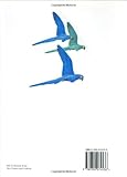 Image de Parrots: A Guide to Parrots of the World