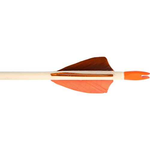 Small Foot by Legler Sportbogen Set 34 Zoll, Rattan-Palmenholz Bogen mit 6 Pfeilen und Zielscheibe, Sportgerät kein Spielzeug, fördert die Konzentration und Motorik, für Kinder ab 6 Jahren - 5