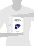 Image de Understanding European Union Law