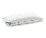 Tempur® Traditional Schlafkissen Easy Clean™ - 40x80 cm /soft