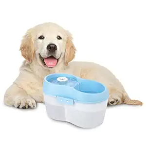 Goofy Tails Dog Water Fountain 2 Litre Blue | Automatic Dog Water Dispenser + Dental Care Tablet + Carbon Filter Pad for (Blue, Puppies & Small Breed Dogs)