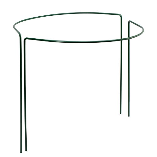 COM-FOUR® 3x Blumen- und Staudenhalter halbrund, für Blumen, Rankengewächse und Stauden geeigent, 37 x 37,5 cm (37 x 37.5 cm) - 2